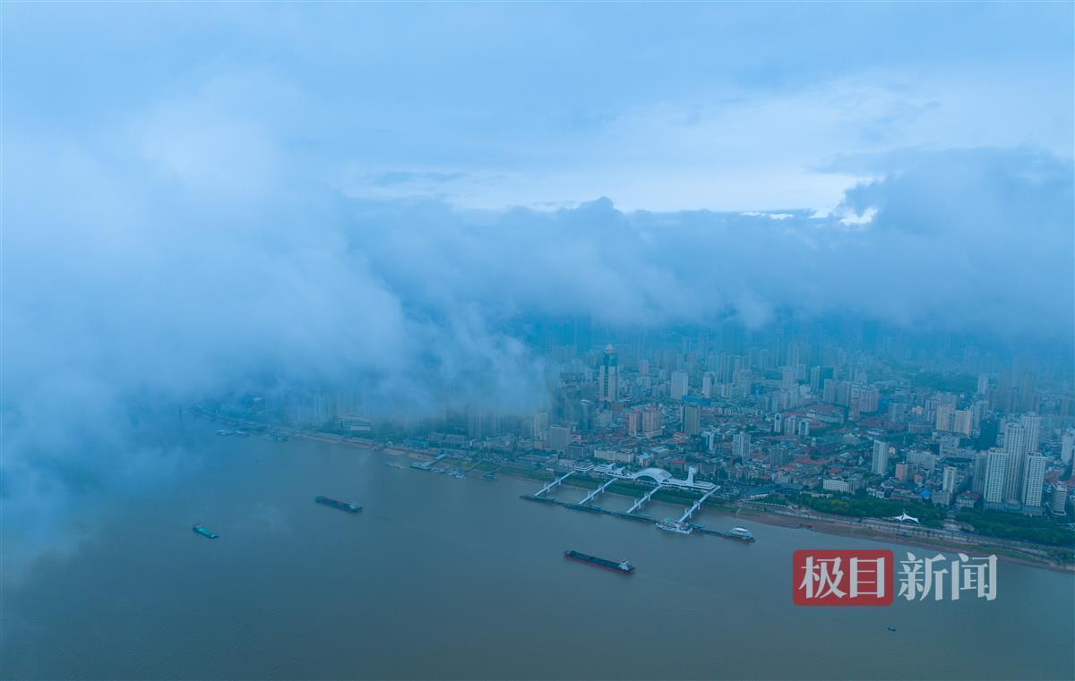 玛丽水果机下载